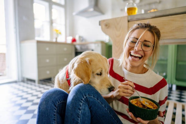Understanding the Basics of Holistic Health